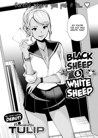 Black Sheep – White Sheep