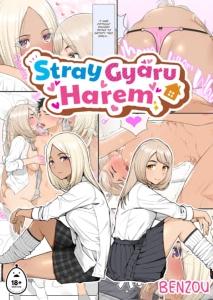 dan-harem-gyaru-di-bui